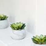 Puerto Santiago Pool Terrace 公寓